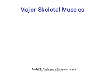 Maj or Sk elet al Muscles




    Rajah 2.0: Pandangan FISIOLOGI otot rangka
         PJM 3106 ANATOMI DAN
                              belakang
 