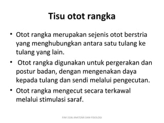 Tisu otot rangka
• Otot rangka merupakan sejenis otot berstria
  yang menghubungkan antara satu tulang ke
  tulang yang lain.
• Otot rangka digunakan untuk pergerakan dan
  postur badan, dengan mengenakan daya
  kepada tulang dan sendi melalui pengecutan.
• Otot rangka mengecut secara terkawal
  melalui stimulasi saraf.

                PJM 3106 ANATOMI DAN FISIOLOGI
 