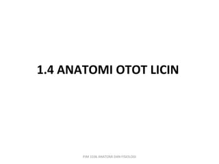 1.4 ANATOMI OTOT LICIN




       PJM 3106 ANATOMI DAN FISIOLOGI
 