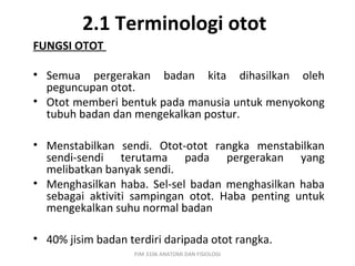 2.1 Terminologi otot
FUNGSI OTOT

• Semua pergerakan badan kita dihasilkan oleh
  peguncupan otot.
• Otot memberi bentuk pada manusia untuk menyokong
  tubuh badan dan mengekalkan postur.

• Menstabilkan sendi. Otot-otot rangka menstabilkan
  sendi-sendi terutama pada pergerakan yang
  melibatkan banyak sendi.
• Menghasilkan haba. Sel-sel badan menghasilkan haba
  sebagai aktiviti sampingan otot. Haba penting untuk
  mengekalkan suhu normal badan

• 40% jisim badan terdiri daripada otot rangka.
                   PJM 3106 ANATOMI DAN FISIOLOGI
 
