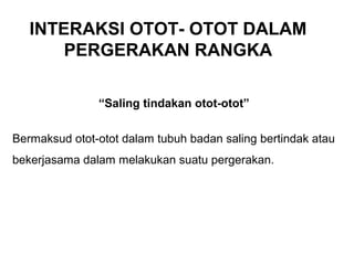 INTERAKSI OTOT- OTOT DALAM
       PERGERAKAN RANGKA

               “Saling tindakan otot-otot”


Bermaksud otot-otot dalam tubuh badan saling bertindak atau
bekerjasama dalam melakukan suatu pergerakan.
 