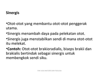 Sinergis

•Otot-otot yang membantu otot-otot penggerak
utama.
•Sinergis menambah daya pada pelekatan otot.
•Sinergis juga menstabilkan sendi di mana otot-otot
itu melekat.
•Contoh: Otot-otot brakioradialis, biseps brakii dan
brakialis bertindak sebagai sinergis untuk
membengkok sendi siku.

                  PJM 3106 ANATOMI DAN FISIOLOGI
 