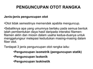 PENGUNCUPAN OTOT RANGKA

Jenis-jenis penguncupan otot
●
    Otot tidak semestinya memendek apabila menguncup.
●
 Sebaliknya apa yang umumnya berlaku pada semua bentuk
ialah pembentukan daya hasil daripada interaksi filamen-
filamen aktin dan miosin dalam usaha kedua-duanya untuk
menggelungsur melepasi kedudukan masing-masing dalam
fiber otot.
Terdapat 3 jenis penguncupan otot rangka iaitu:
         ●
             Penguncupan isometrik (penguncupan statik)
         ●
             Penguncupan Isotonik
         ●
             Penguncupan Isokinetik
 