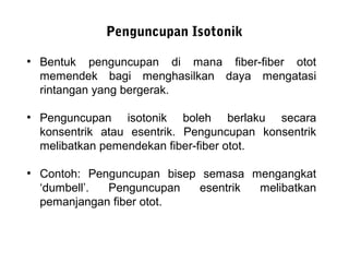 Penguncupan Isotonik
●
    Bentuk penguncupan di mana fiber-fiber otot
    memendek bagi menghasilkan daya mengatasi
    rintangan yang bergerak.

●
    Penguncupan isotonik boleh berlaku secara
    konsentrik atau esentrik. Penguncupan konsentrik
    melibatkan pemendekan fiber-fiber otot.

●
    Contoh: Penguncupan bisep semasa mengangkat
    ‘dumbell’. Penguncupan    esentrik melibatkan
    pemanjangan fiber otot.
 