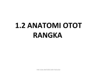 1.2 ANATOMI OTOT
     RANGKA



     PJM 3106 ANATOMI DAN FISIOLOGI
 