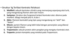• Struktur Yg Terlibat Kontraksi Relaksasi
1. Miofibril: sebuah bentukan silindris yang memanjang sepanjang otot lurik,
yang mengandung filamen aktin dan miosin.
2. Sarkomer: Struktur dan fungsional terkecil kontraksi otot. ditemui pada
miofibril. dibagi menjadi pita H, A dan I.
3. Aktin: filament kontraktil yang tipis yang mengandung sisi “aktif” dan
“ikatan”.
4. Miosin: portein filamen yang lebih tebal dengan penonjolan yang dikenal
dengan kepala miosin.
5. Tropomiosin: sebuah protein aktin pengikat yang mengatur kontraksi otot.
6. Troponin: protein kompleks yang melekat pada Tropomiosin.
 