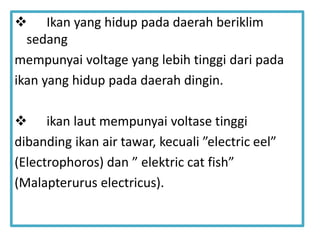  Ikan yang hidup pada daerah beriklim
sedang
mempunyai voltage yang lebih tinggi dari pada
ikan yang hidup pada daerah dingin.
 ikan laut mempunyai voltase tinggi
dibanding ikan air tawar, kecuali ”electric eel”
(Electrophoros) dan ” elektric cat fish”
(Malapterurus electricus).
 