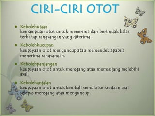 CIRI-CIRI OTOT
   Kebolehujaan
    kemampuan otot untuk menerima dan bertindak balas
    terhadap rangsangan yang diterima.
   Kebolehkucupan
    keupayaan otot menguncup atau memendek apabila
    menerima rangsangan.
   Kebolehpanjangan
    keupayaan otot untuk meregang atau memanjang melebihi
    asal.
   Kebolehanjalan
    keupayaan otot untuk kembali semula ke keadaan asal
    selepas meregang atau menguncup.
 