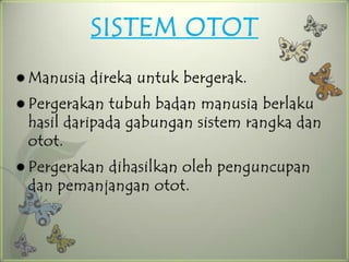 SISTEM OTOT
 Manusia   direka untuk bergerak.
 Pergerakan tubuh badan manusia berlaku
 hasil daripada gabungan sistem rangka dan
 otot.
 Pergerakan
           dihasilkan oleh penguncupan
 dan pemanjangan otot.
 