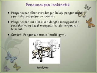 Penguncupan Isokinetik

   Penguncupan fiber otot dengan halaju penguncupan
    yang tetap sepanjang pergerakan.
   Penguncupan ini dihasilkan dengan menggunakan
    peralatan yang dapat mengawal halaju pergerakan
    tersebut.
   Contoh: Pengunaan mesin “multi-gym’.




                     Bench press
 