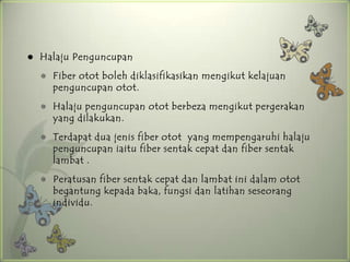    Halaju Penguncupan
       Fiber otot boleh diklasifikasikan mengikut kelajuan
        penguncupan otot.
       Halaju penguncupan otot berbeza mengikut pergerakan
        yang dilakukan.
       Terdapat dua jenis fiber otot yang mempengaruhi halaju
        penguncupan iaitu fiber sentak cepat dan fiber sentak
        lambat .
       Peratusan fiber sentak cepat dan lambat ini dalam otot
        begantung kepada baka, fungsi dan latihan seseorang
        individu.
 