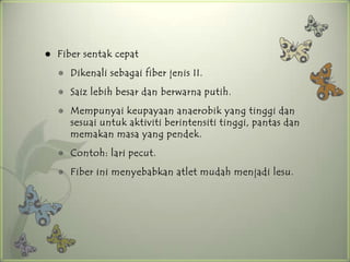    Fiber sentak cepat
       Dikenali sebagai fiber jenis II.
       Saiz lebih besar dan berwarna putih.
       Mempunyai keupayaan anaerobik yang tinggi dan
        sesuai untuk aktiviti berintensiti tinggi, pantas dan
        memakan masa yang pendek.
       Contoh: lari pecut.
       Fiber ini menyebabkan atlet mudah menjadi lesu.
 