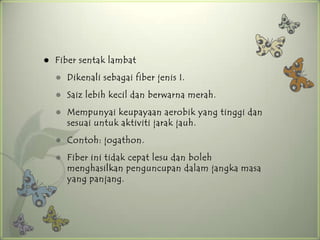    Fiber sentak lambat
       Dikenali sebagai fiber jenis I.
       Saiz lebih kecil dan berwarna merah.
       Mempunyai keupayaan aerobik yang tinggi dan
        sesuai untuk aktiviti jarak jauh.
       Contoh: jogathon.
       Fiber ini tidak cepat lesu dan boleh
        menghasilkan penguncupan dalam jangka masa
        yang panjang.
 