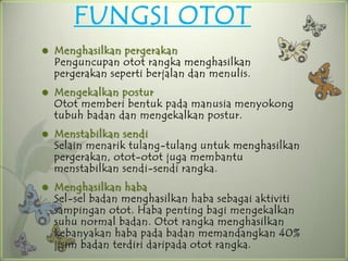 FUNGSI OTOT
   Menghasilkan pergerakan
    Penguncupan otot rangka menghasilkan
    pergerakan seperti berjalan dan menulis.
   Mengekalkan postur
    Otot memberi bentuk pada manusia menyokong
    tubuh badan dan mengekalkan postur.
   Menstabilkan sendi
    Selain menarik tulang-tulang untuk menghasilkan
    pergerakan, otot-otot juga membantu
    menstabilkan sendi-sendi rangka.
   Menghasilkan haba
    Sel-sel badan menghasilkan haba sebagai aktiviti
    sampingan otot. Haba penting bagi mengekalkan
    suhu normal badan. Otot rangka menghasilkan
    kebanyakan haba pada badan memandangkan 40%
    jisim badan terdiri daripada otot rangka.
 