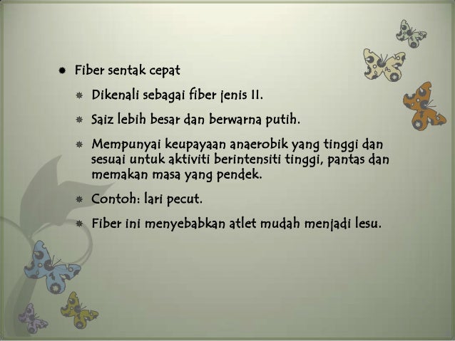 Sistem Otot