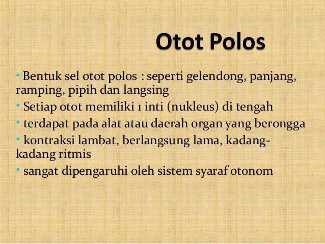 Sistem otot manusia