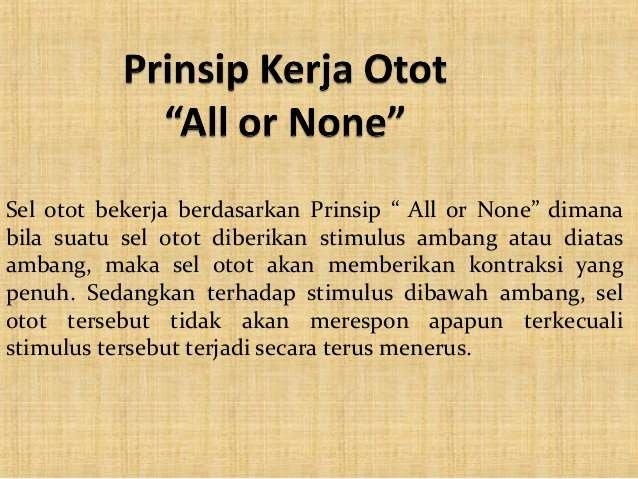 Sistem otot manusia