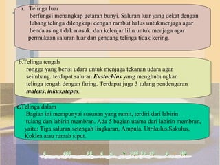 Telinga luar berfungsi menangkap getaran bunyi. Saluran luar yang dekat dengan lubang telinga dilengkapi dengan rambut halus untukmenjaga agar benda asing tidak masuk, dan kelenjar lilin untuk menjaga agar  permukaan saluran luar dan gendang telinga tidak kering.  b.Telinga tengah rongga yang berisi udara untuk menjaga tekanan udara agar seimbang. terdapat saluran  Eustachius  yang menghubungkan telinga tengah dengan faring. Terdapat juga 3 tulang pendengaran maleus ,  inkus,stapes . c. Telinga dalam  Bagian ini mempunyai susunan yang rumit, terdiri dari labirin tulang dan labirin membran. Ada 5 bagian utama dari labirin membran,  yaitu: Tiga saluran setengah lingkaran, Ampula, Utrikulus,Sakulus,  Koklea atau rumah siput. 