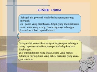 FUNGSI  INDRA Sebagai alat proteksi tubuh dari rangsangan yang merusak. ex : panas yang membakar, dingin yang membekukan, sakit, sinar yang terang, dan sebagainya sehingga kerusakan tubuh dapat dihindari. Sebagai alat komunikasi dengan lingkungan, sehingga orang dapat memberikan persepsi terhadap keadaan lingkungan.  ex :  pemandangan yang indah, suara yang merdu, tubuhnya miring, kain yang halus, makanan yang enak, dan lain-lain 