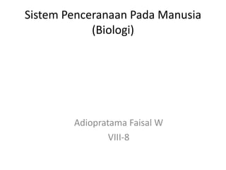 SistemPenceranaanPadaManusia(Biologi) Adiopratama Faisal W VIII-8 