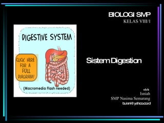 Sistem Digestion BIOLOGI SMP KELAS VIII/1 SMP  Nasima Semarang [email_address] oleh   Isniah 