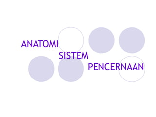 ANATOMI
SISTEM
PENCERNAAN
 