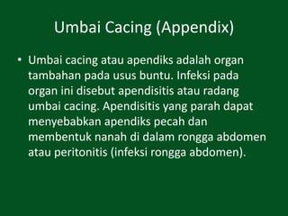 Sistem Pencernaan pada tubuh Manusia .pdf