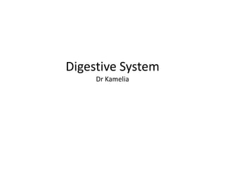 Digestive System
Dr Kamelia
 