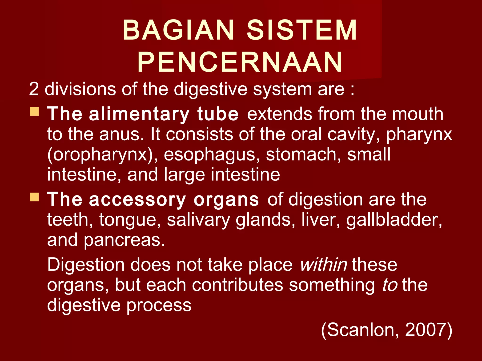 Peancrease Eake Power Point Sistem Pencernaan | PPT