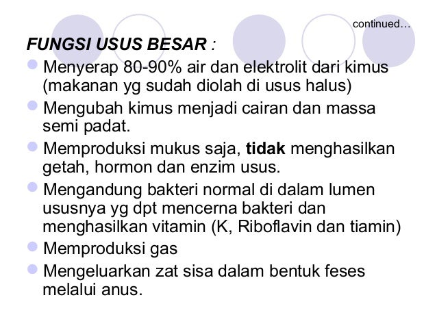 Sistem Pencernaan 3
