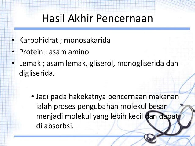 Sistem Pencernaan Ime Smankerxi Ipa Sistem Pencernaan Ime Smankerxi Ipa