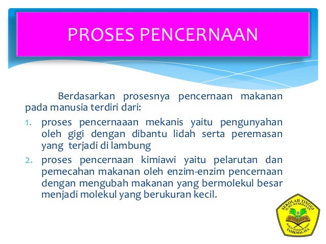 Sistem pencernaan dan obat obat sistem pencernaan