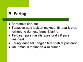 B. Faring
 Berbentuk kerucut
 Tersusun atas lapisan mukosa, fibrosa & otot,
terhubung dgn esofagus & laring
 Terbagi : pars nasalis, pars oralis & pars
laringeal.
 Faring laringeal : bagian terendah di posterior
 Jalur masuk makanan & minuman
 