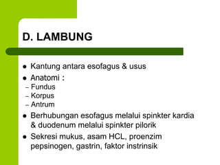 D. LAMBUNG
 Kantung antara esofagus & usus
 Anatomi :
– Fundus
– Korpus
– Antrum
 Berhubungan esofagus melalui spinkter kardia
& duodenum melalui spinkter pilorik
 Sekresi mukus, asam HCL, proenzim
pepsinogen, gastrin, faktor instrinsik
 