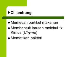 HCl lambung
 Memecah partikel makanan
 Membentuk larutan molekul 
Kimus (Chyme)
 Mematikan bakteri
 
