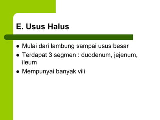 E. Usus Halus
 Mulai dari lambung sampai usus besar
 Terdapat 3 segmen : duodenum, jejenum,
ileum
 Mempunyai banyak vili
 