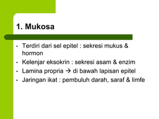 1. Mukosa
• Terdiri dari sel epitel : sekresi mukus &
hormon
• Kelenjar eksokrin : sekresi asam & enzim
• Lamina propria  di bawah lapisan epitel
• Jaringan ikat : pembuluh darah, saraf & limfe
 