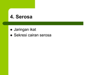 4. Serosa
 Jaringan ikat
 Sekresi cairan serosa
 