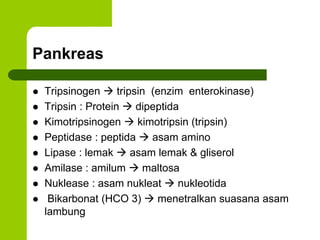 Pankreas
 Tripsinogen  tripsin (enzim enterokinase)
 Tripsin : Protein  dipeptida
 Kimotripsinogen  kimotripsin (tripsin)
 Peptidase : peptida  asam amino
 Lipase : lemak  asam lemak & gliserol
 Amilase : amilum  maltosa
 Nuklease : asam nukleat  nukleotida
 Bikarbonat (HCO 3)  menetralkan suasana asam
lambung
 