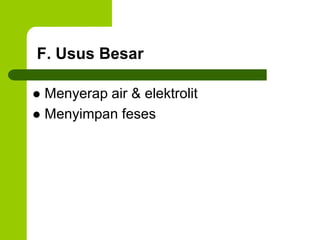 F. Usus Besar
 Menyerap air & elektrolit
 Menyimpan feses
 