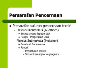 Persarafan Pencernaan
 Persarafan saluran pencernaan terdiri:
– Pleksus Mienterikus (Auerbach)
 Berada antara lapisan otot
 Fungsi : Pergerakan usus
– Pleksus Submukosa (Meissner)
 Berada di Submukosa
 Fungsi :
– Pengaturan sekresi
– Sensorik (reseptor regangan )
 
