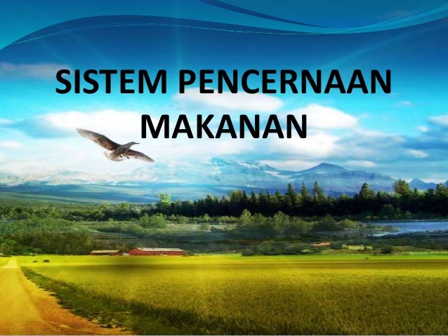 Biologi Sistem Percernaan