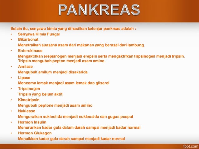 SISTEM PENCERNAAN MAKANAN