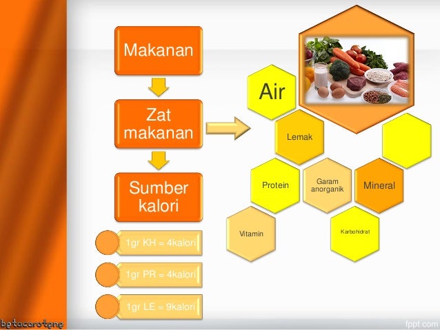 Sistem Pencernaan Makanan 27410173