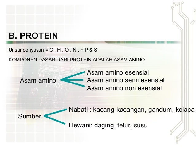 Contoh Makanan Esensial - Contoh Now