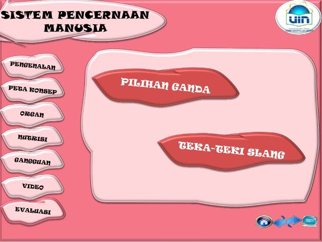 Sistem Pencernaan Makanan 29500541