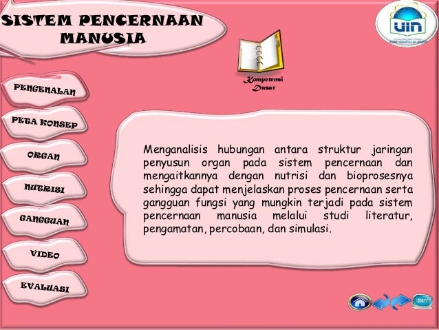 Sistem Pencernaan Makanan 29500541