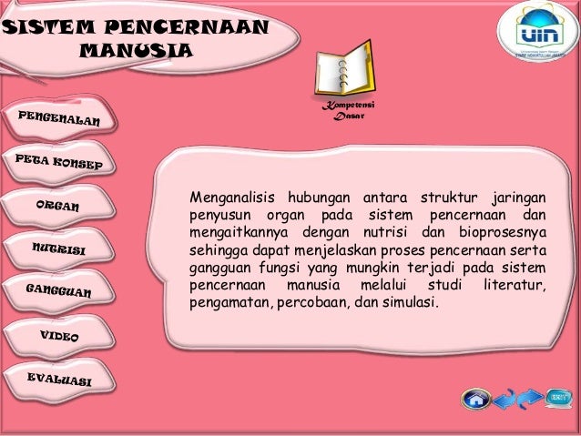 Sistem Pencernaan Makanan 29500541