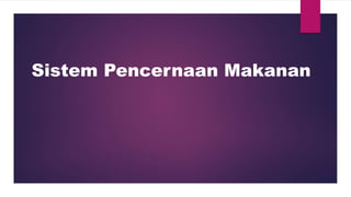 Sistem Pencernaan Makanan 
 