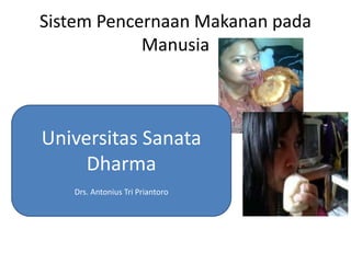 Sistem Pencernaan Makanan pada
            Manusia



Universitas Sanata
     Dharma
   Drs. Antonius Tri Priantoro
 